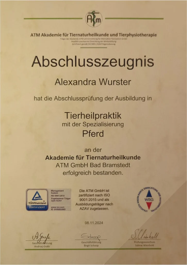 Aus- und Weiterbildungen