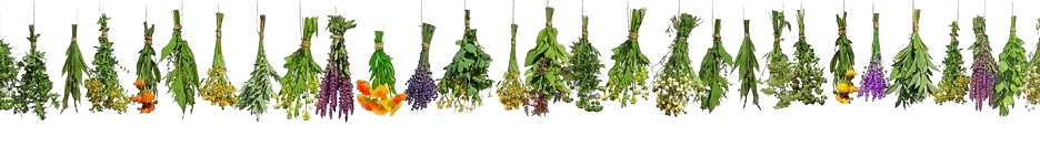 Mehrere Bündel an Kräutern sind als eine Girlande nebeneinander gereiht.
Darüber steht AGB.
