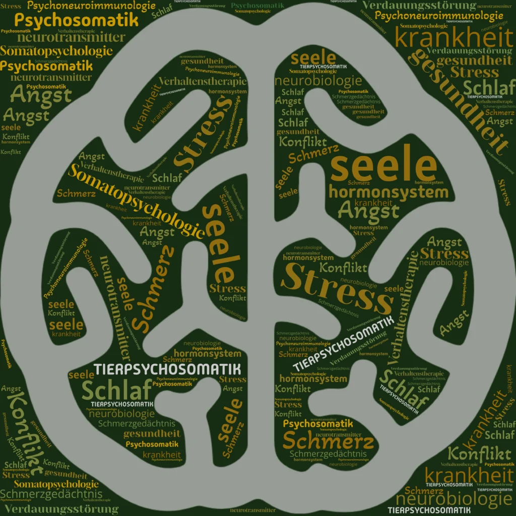 Auf diesem Bild sieht man eine Wortwolke mit lauter Begriffen die mit dem Thema Psychosomatik zu tun haben.